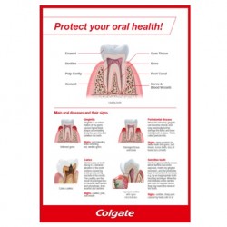 Medical Chart Design, Teeth Poster (42x58cm) Laminated