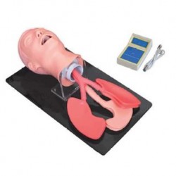 Nursing Education Advanced Human Trachea Intubation Model, Per Unit