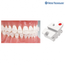 Ortho Technology Ortho Flex Roth RX (10 Brackets/ Pack)