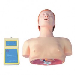 Nursing Education Model, Basic CPR Training Model (Half Body) Per Unit