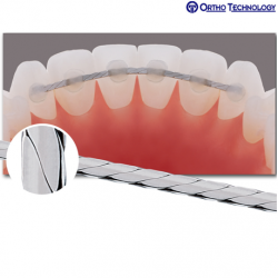 Creatures of the Sea Natural Latex Elastics - Ortho Technology